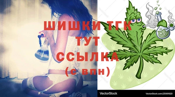 сатива Гусиноозёрск