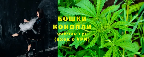 сатива Гусиноозёрск