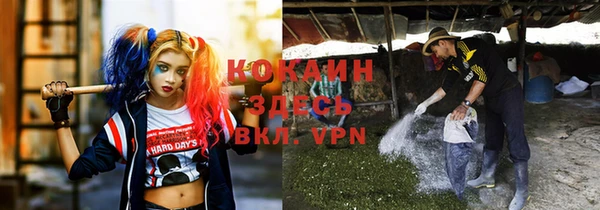 винт Горно-Алтайск