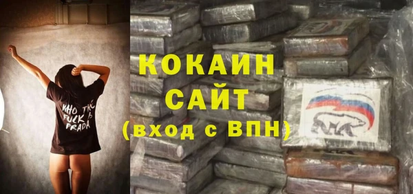 сатива Гусиноозёрск