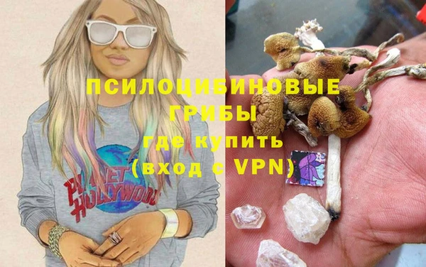 сатива Гусиноозёрск